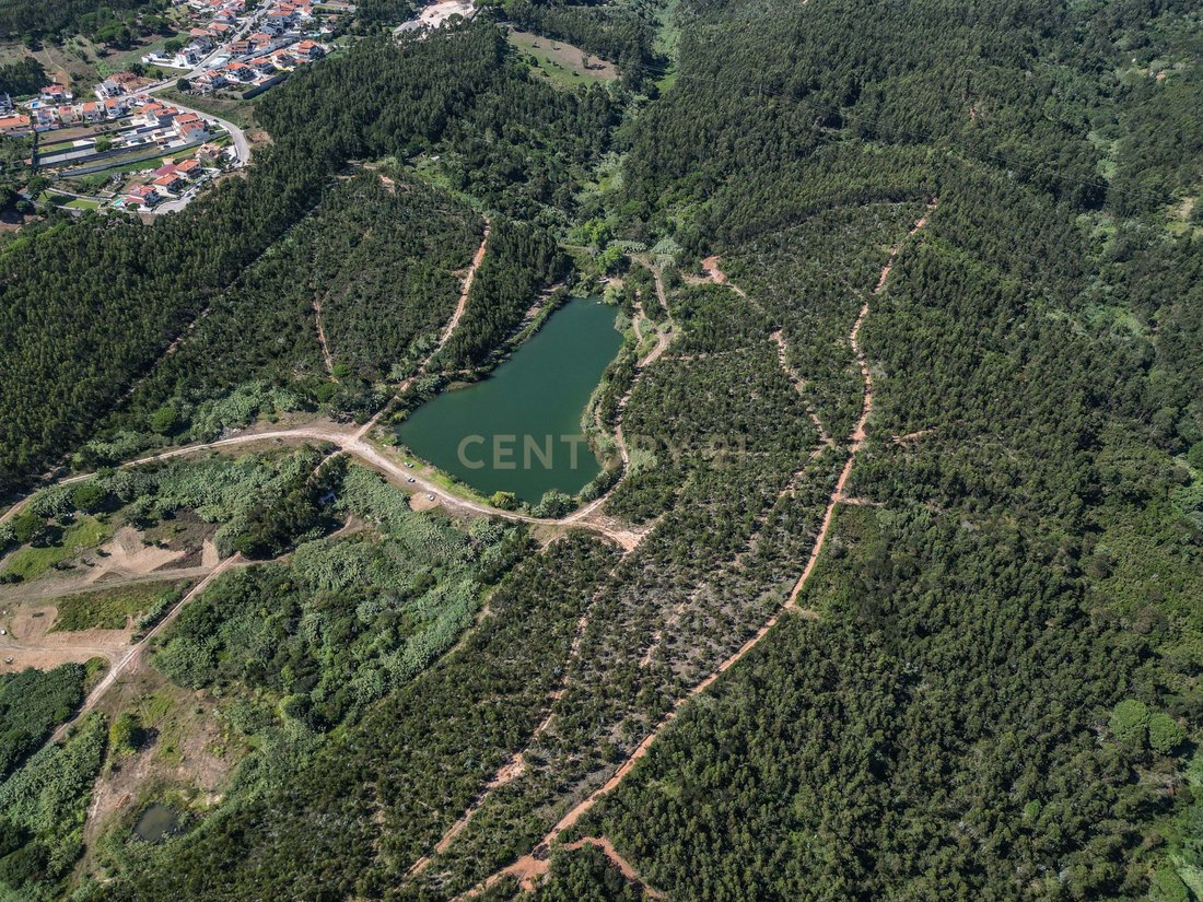 Land in Buarcos e Sao Juliao, Coimbra District, Portugal 5 - 14563123