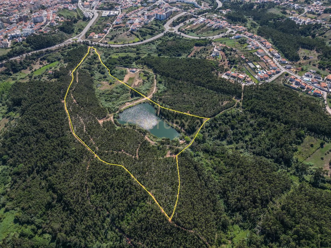 Land in Buarcos e Sao Juliao, Coimbra District, Portugal 2 - 14563123