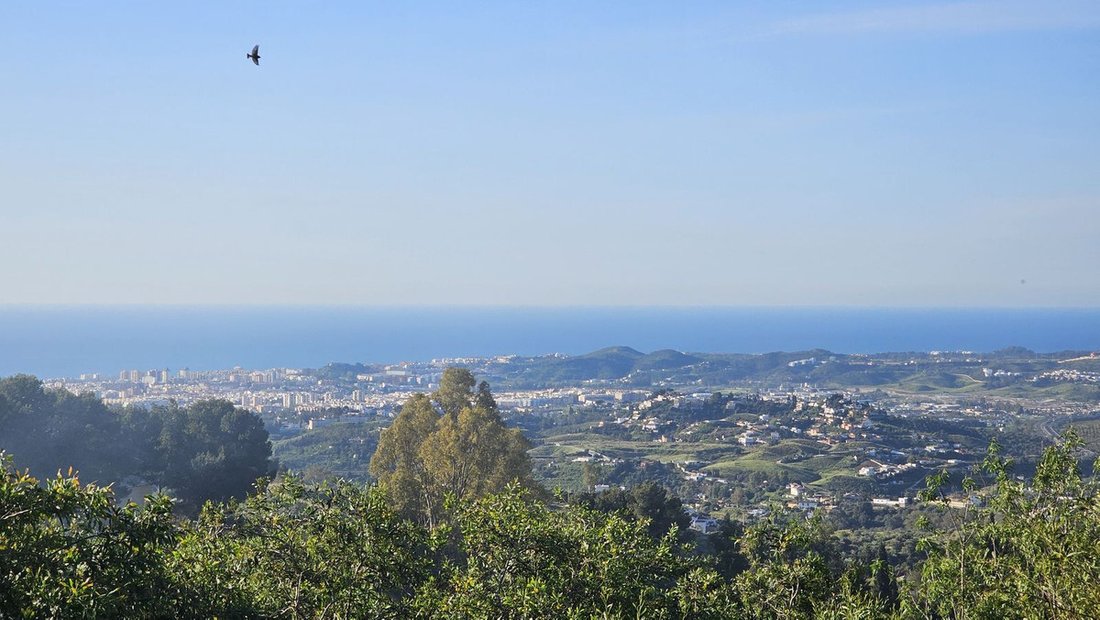 Land in Mijas, Andalusia, Spain 3 - 13311214