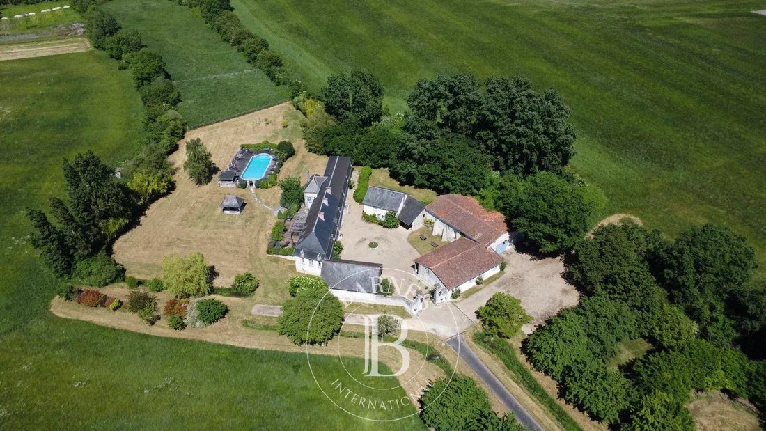 Estate in Richelieu, Centre-Val de Loire, France 4 - 12704532