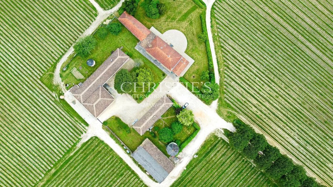 Farm Ranch in Bourg, Nouvelle-Aquitaine, France 2 - 15657081
