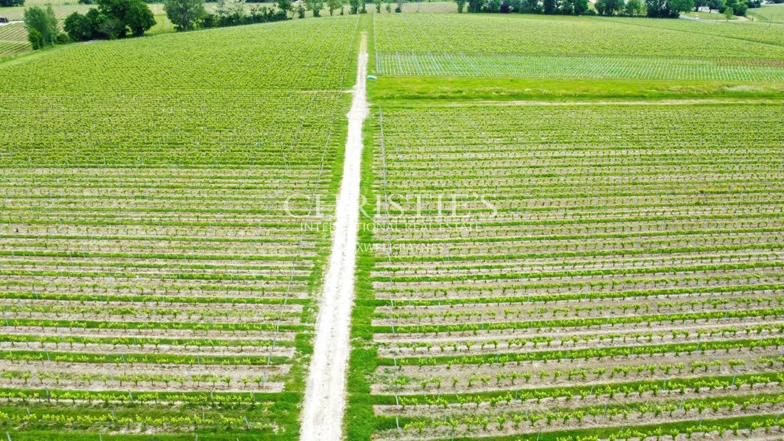 Farm Ranch in Bourg, Nouvelle-Aquitaine, France 5 - 15657081