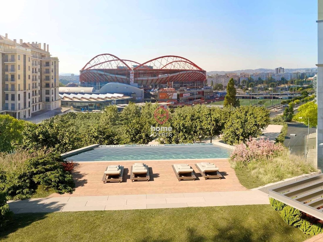 Apartment in Sao Domingos de Benfica, Lisbon, Portugal 4 - 15655056