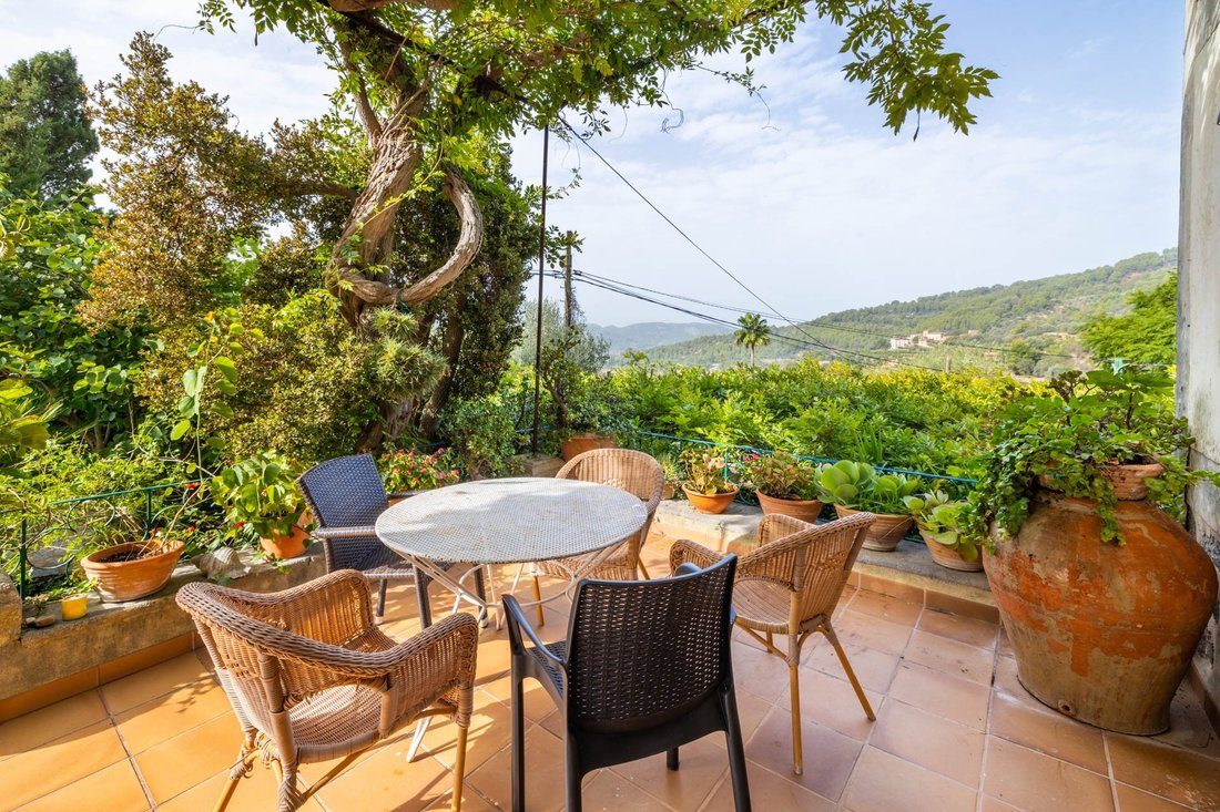 Landhaus in Biniaraix, Sóller, Balearische Inseln 3 - 15654591