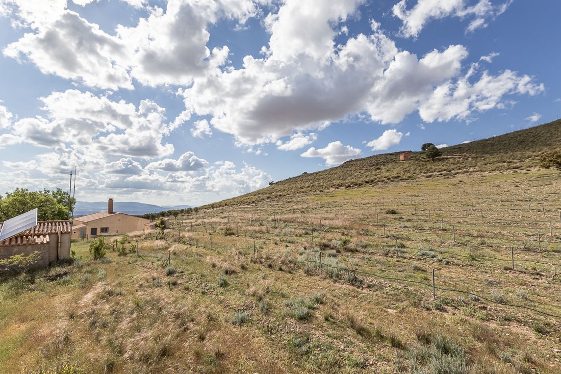 Land in Guadix, Andalusia, Spain 5 - 15655311