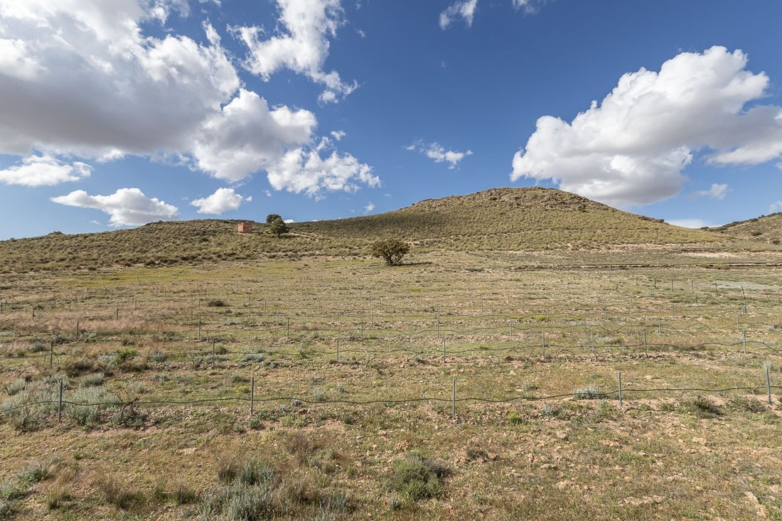 Land in Guadix, Andalusia, Spain 4 - 15655311