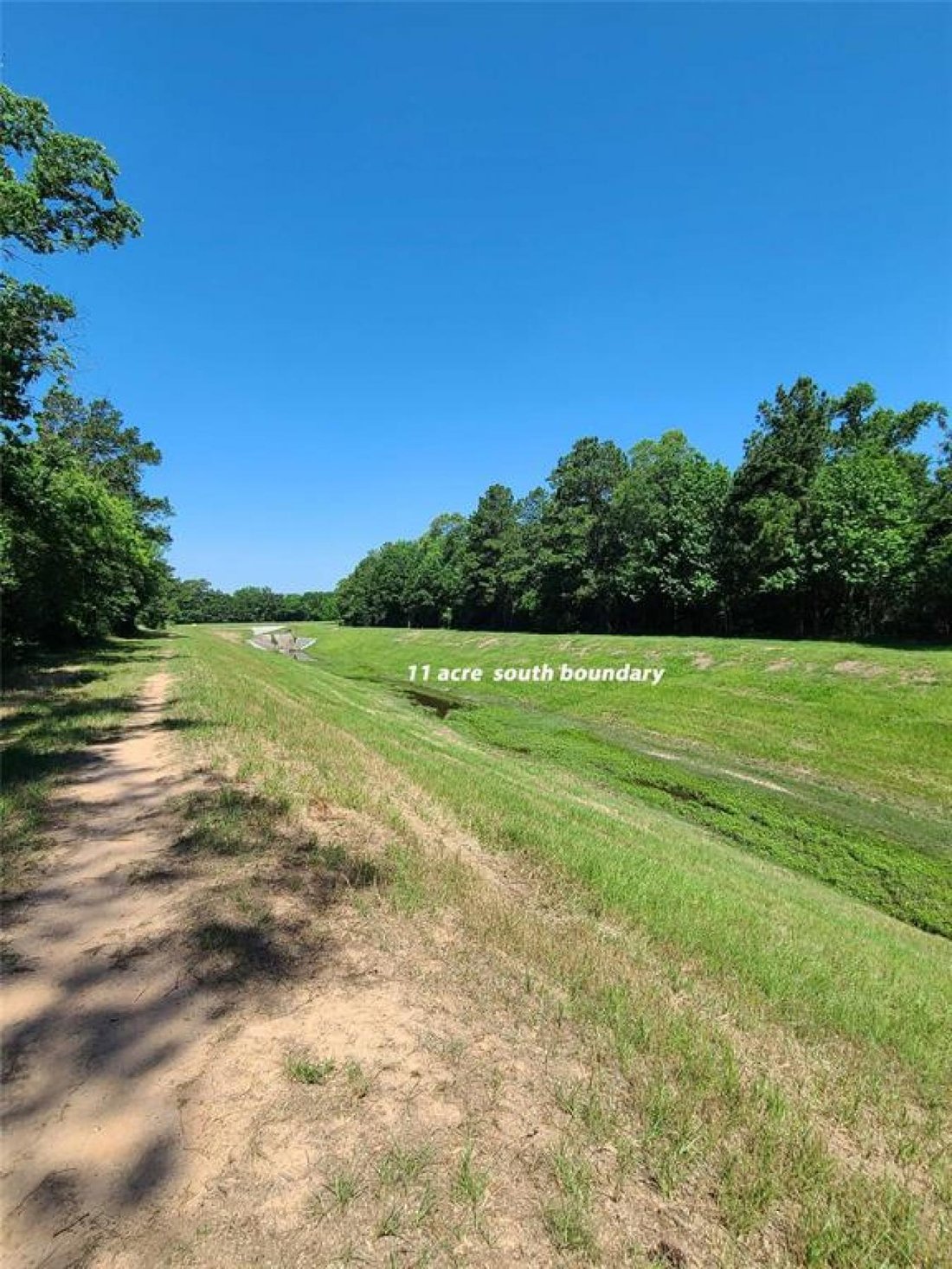 House in Conroe, Texas, United States 4 - 15657069