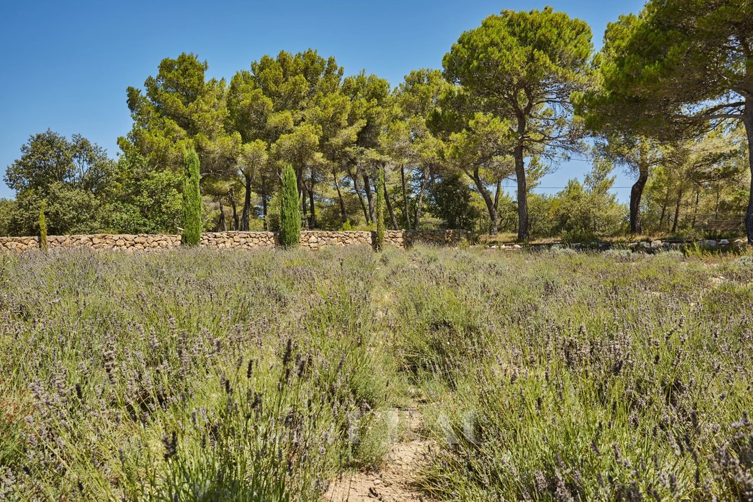 House in Granettes-Jauberte-Sainte Anne, Aix-en-Provence, France 5 - 15654664