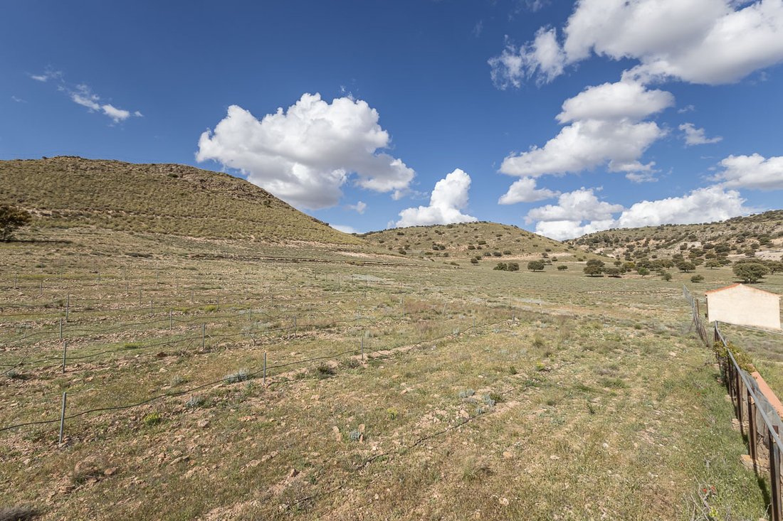 Land in Guadix, Andalusia, Spain 3 - 15655311