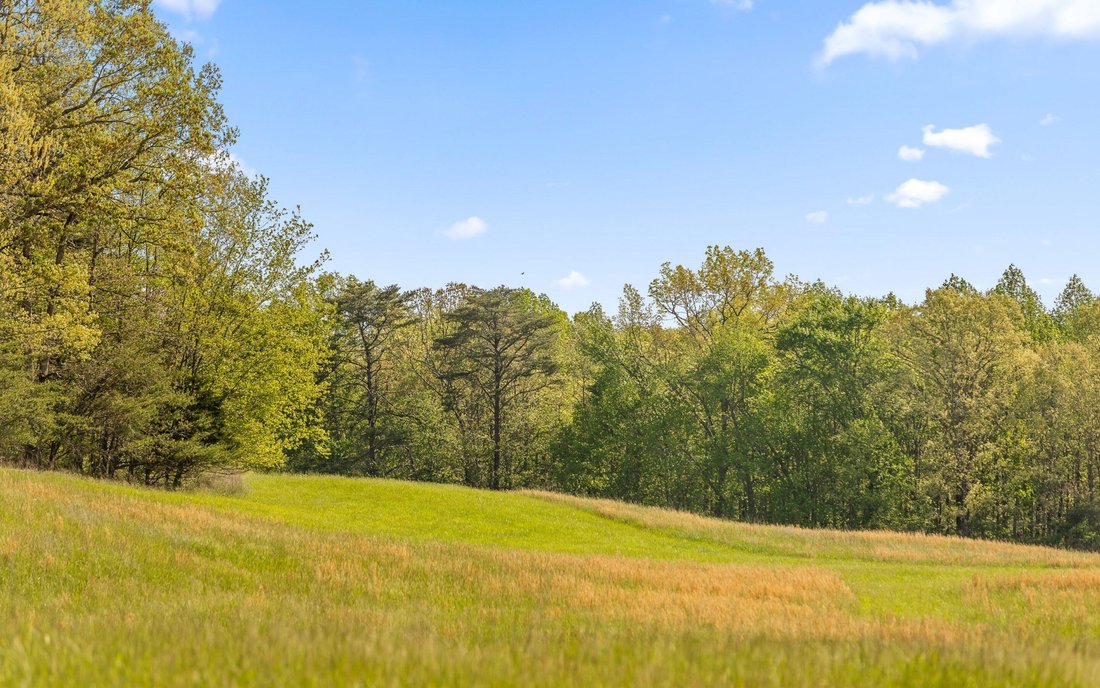 Land in Tracy City, Tennessee, United States 5 - 15655123