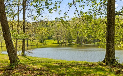 Land in Tracy City, Tennessee, United States 1