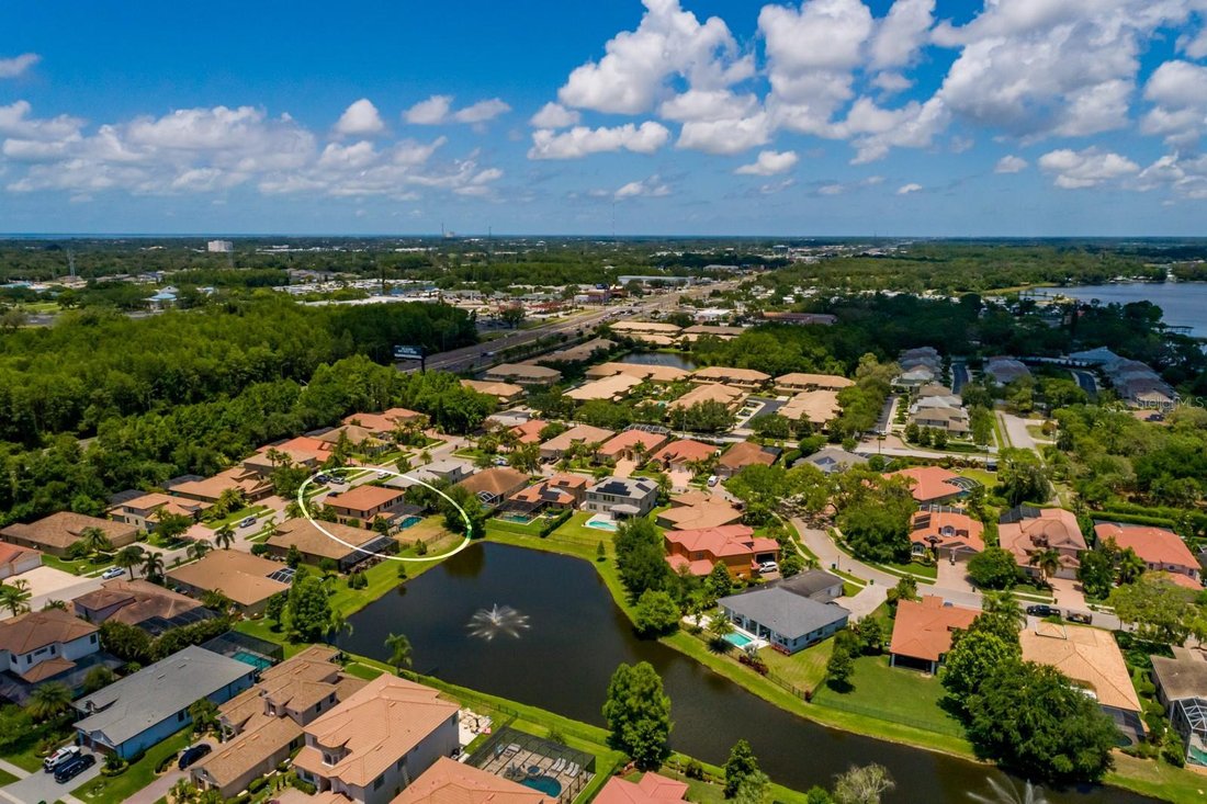 House in Palm Harbor, Florida, United States 4 - 15656741