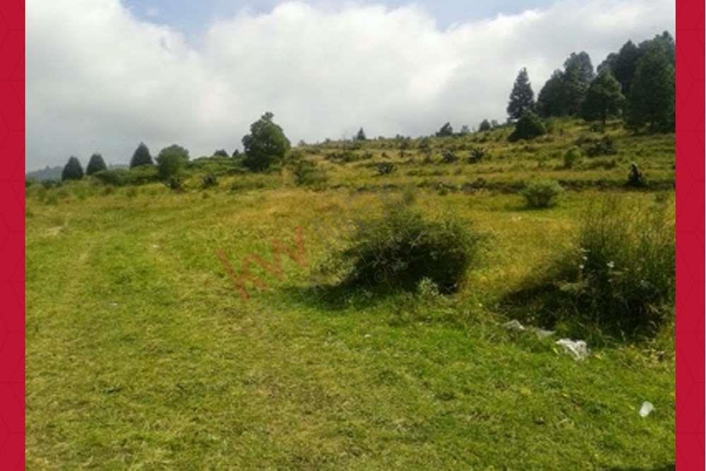 Land in Santa Cruz Ayotuzco, State of Mexico, Mexico 1 - 15655154