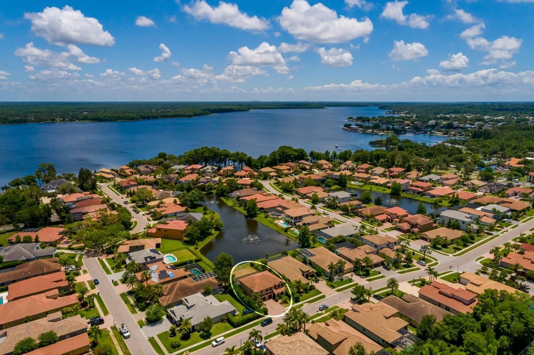 House in Palm Harbor, Florida, United States 3 - 15656741