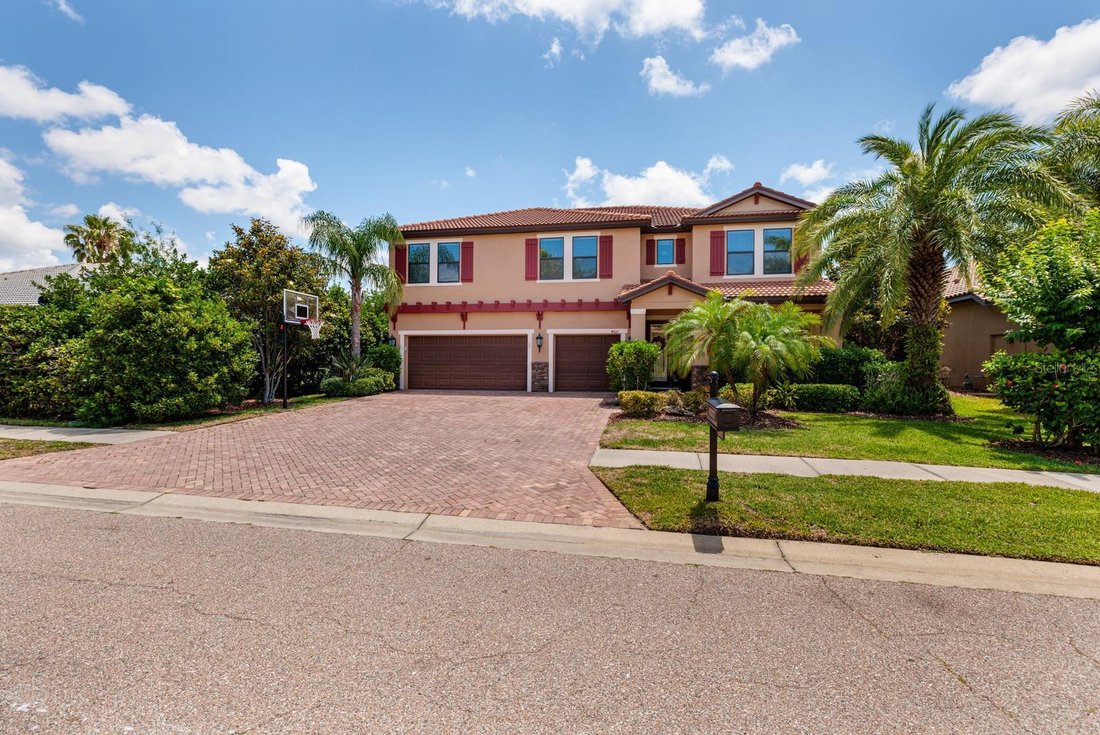 House in Palm Harbor, Florida, United States 5 - 15656741