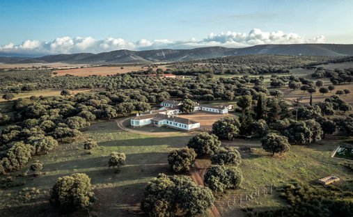 Anwesen in Piedrabuena, Kastilien-La Mancha, Spanien 1