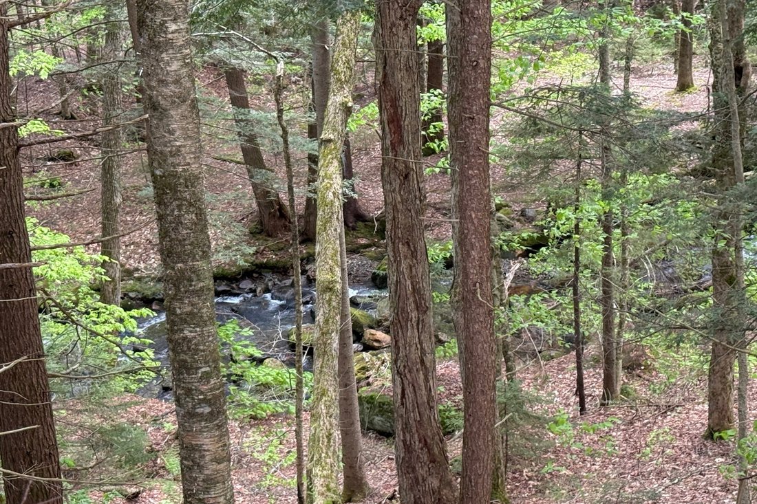 Land in Wilmington, Vermont, United States 4 - 15657443