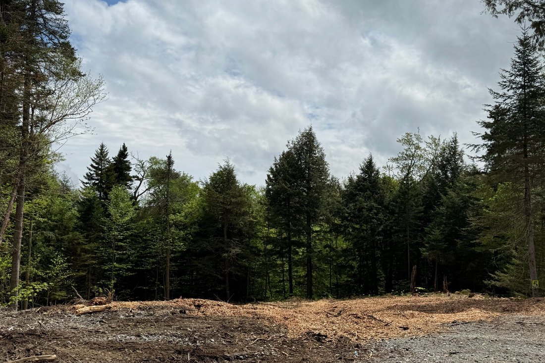 Land in Wilmington, Vermont, United States 2 - 15657443