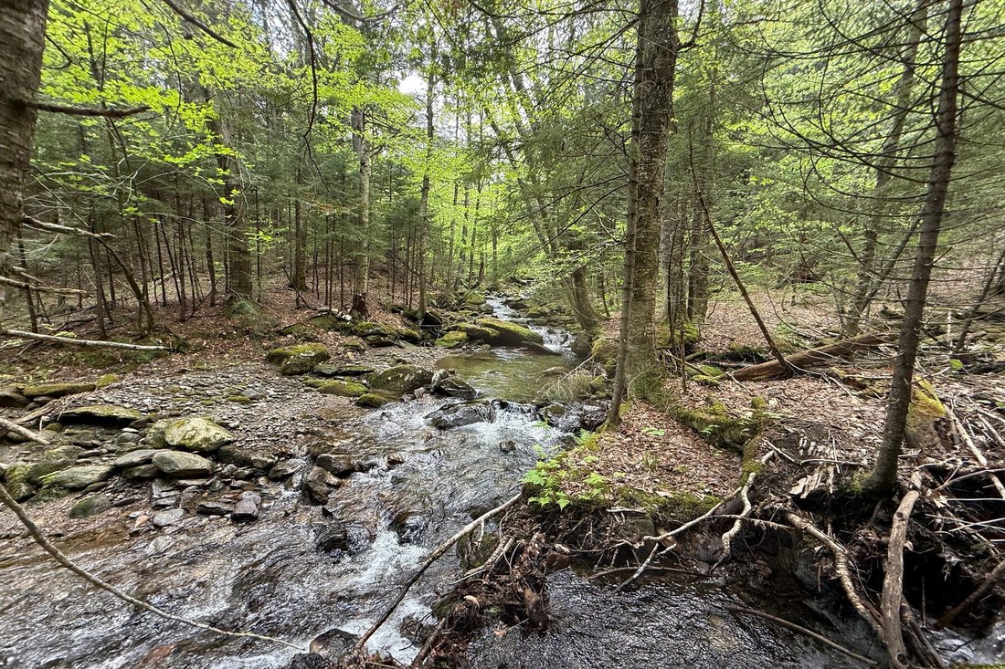 Land in Wilmington, Vermont, United States 5 - 15657443