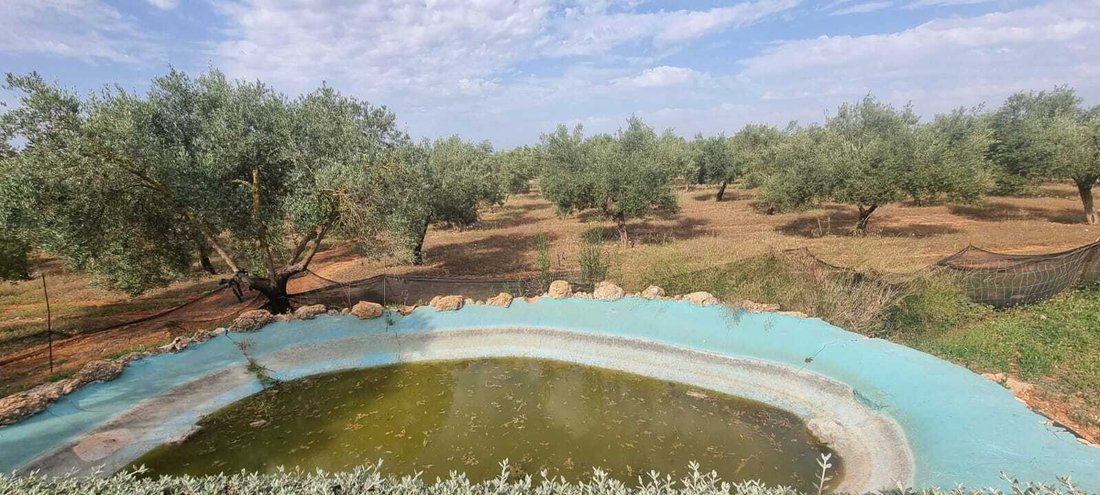 Farm Ranch in Sencelles, Balearic Islands, Spain 2 - 15658089