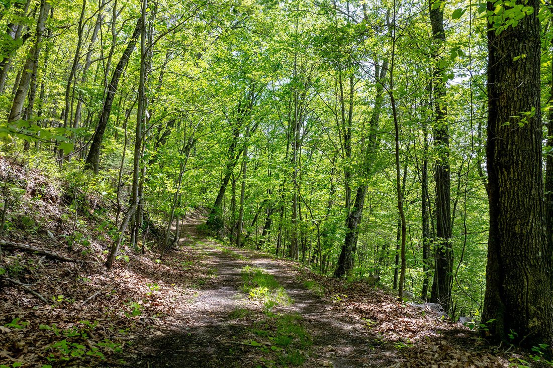 Land in Tuckasegee, North Carolina, United States 5 - 15658374