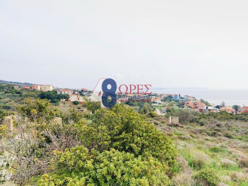 Land in Chios, Aegean, Greece 4 - 15658601