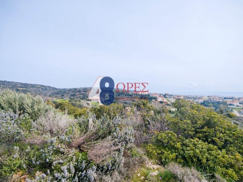 Land in Chios, Aegean, Greece 5 - 15658601