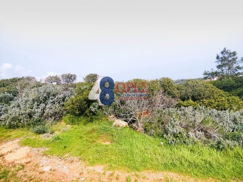 Land in Chios, Aegean, Greece 2 - 15658601