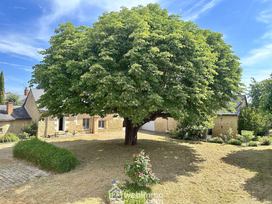 Casa en Chavagnes, Terranjou, Francia 4 - 15238497