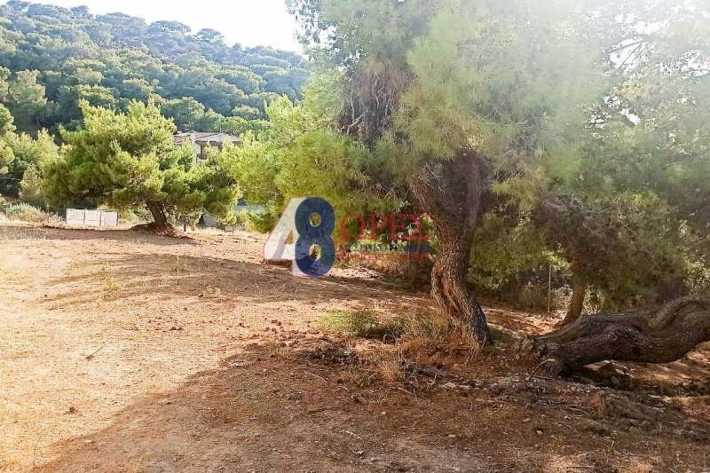 Land in Saronida, Attica, Greece 3 - 15659469