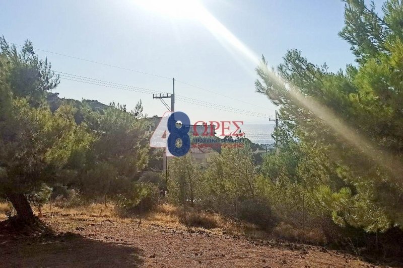 Land in Saronida, Attica, Greece 2 - 15659469