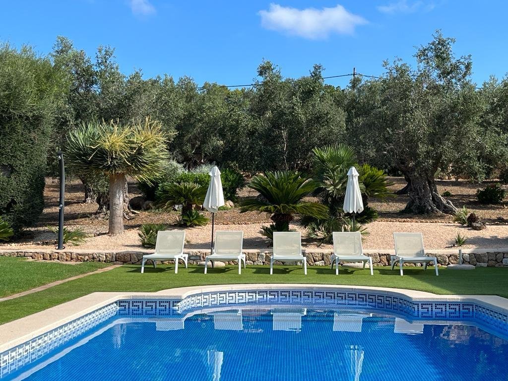 Finca in Palma, Balearic Islands, Spain 3 - 15629712