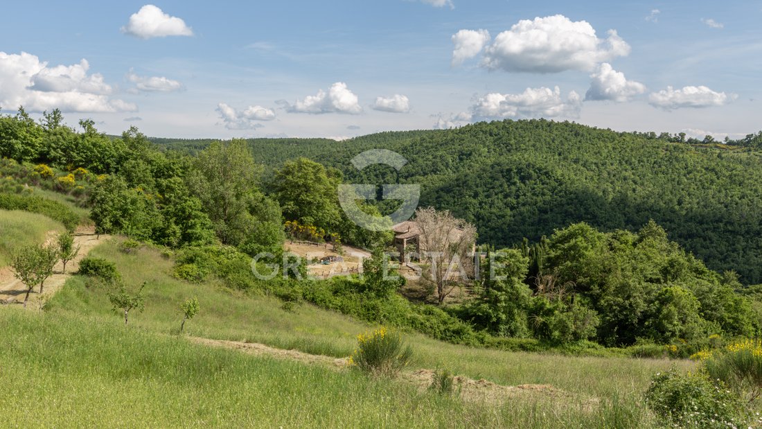 Estate in San Casciano dei Bagni, Tuscany, Italy 4 - 14361691