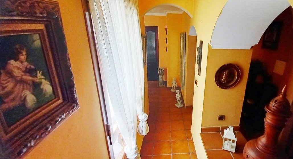 House in Cordoba, Andalusia, Spain 5 - 15663143