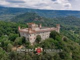 Stunning Restored Castle For Sale Piedmont, Close To Turin - 2