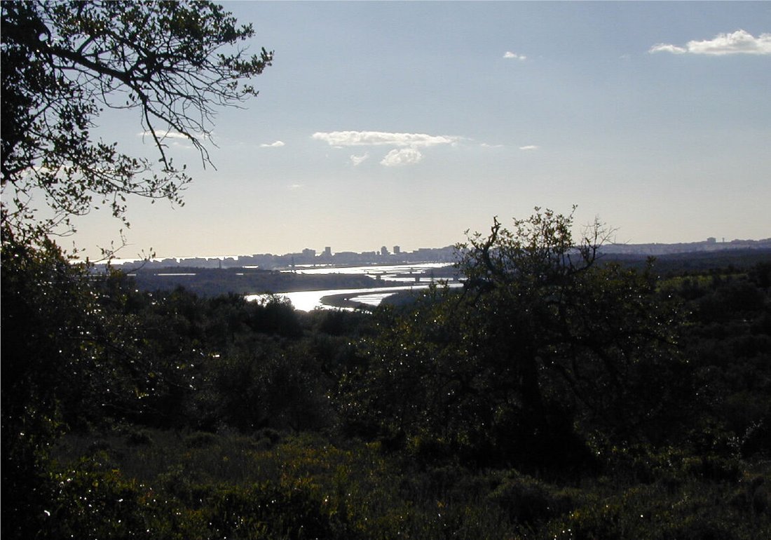 Land in Silves, Algarve, Portugal 4 - 15664465