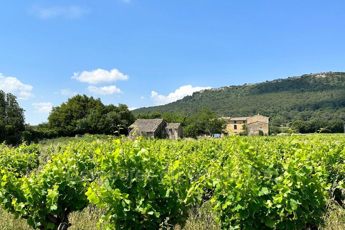 Villa in Centre Ville, Laudun-l'Ardoise, France 4 - 15664279