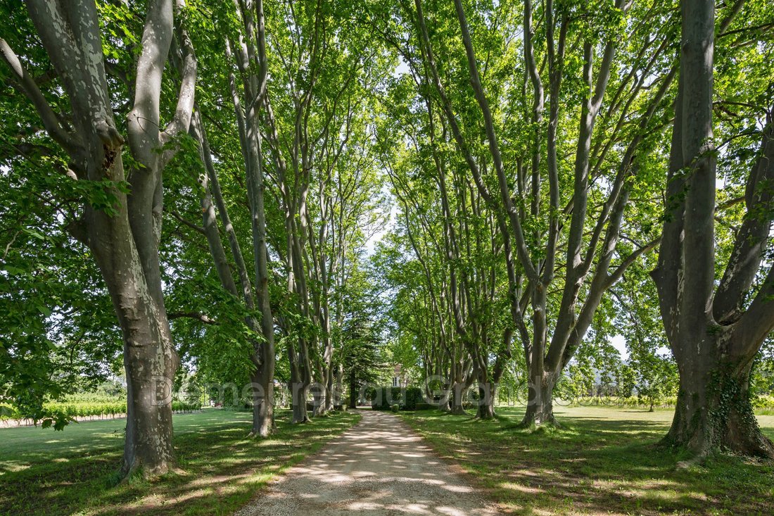 Villa in Gigondas, Provence-Alpes-Côte d'Azur, France 3 - 15664188