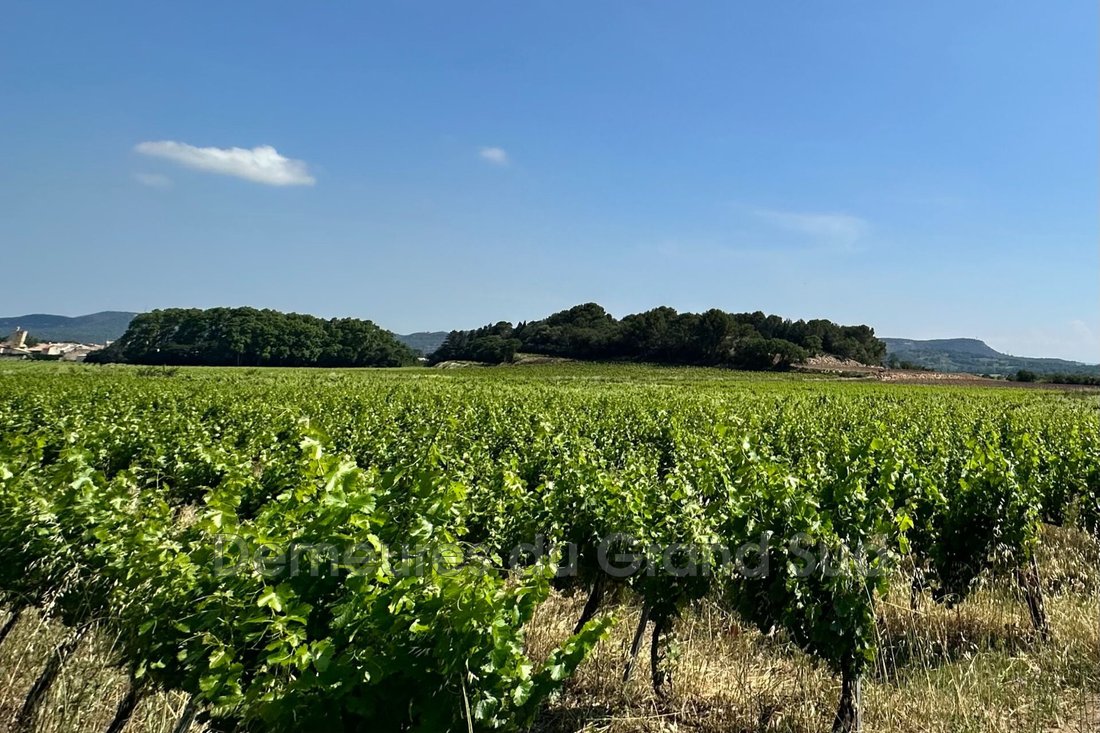 Villa in Centre Ville, Laudun-l'Ardoise, France 5 - 15664279