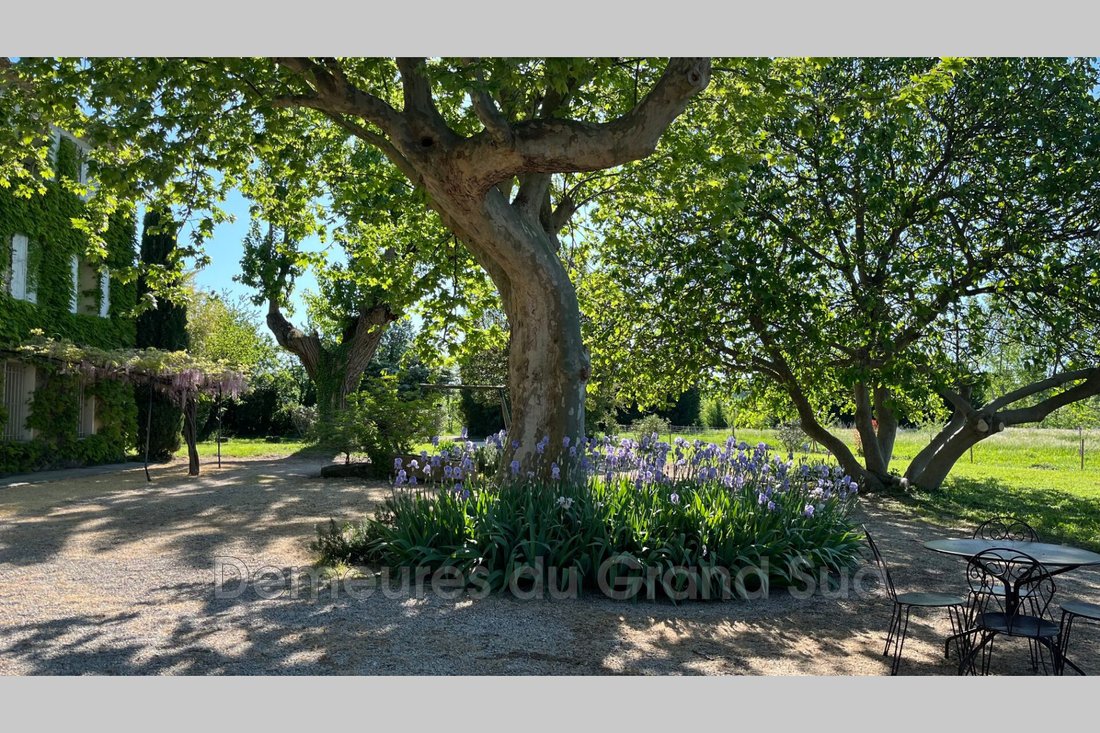 Villa in Orange, Provence-Alpes-Côte d'Azur, Frankreich 3 - 15664461