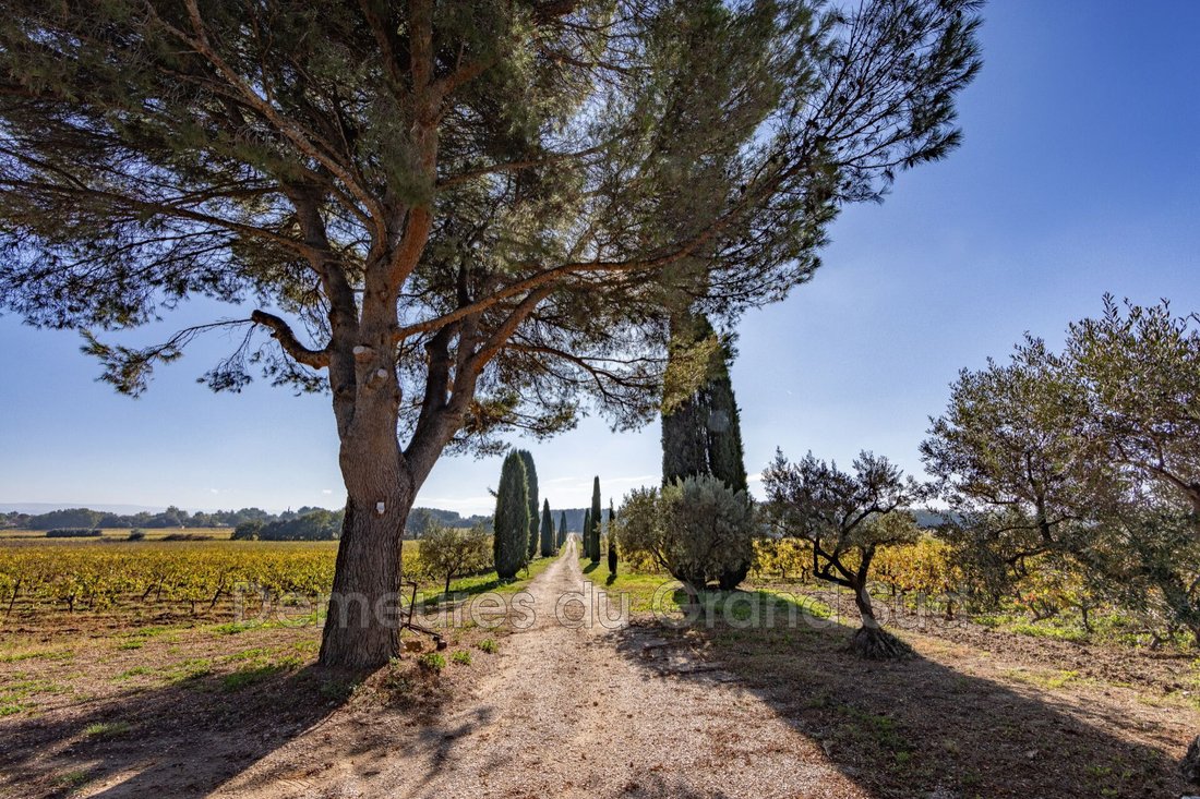 Villa in Caromb, Provence-Alpes-Côte d'Azur, France 5 - 15664444