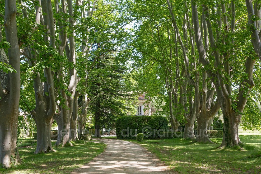 Villa in Gigondas, Provence-Alpes-Côte d'Azur, France 5 - 15664188