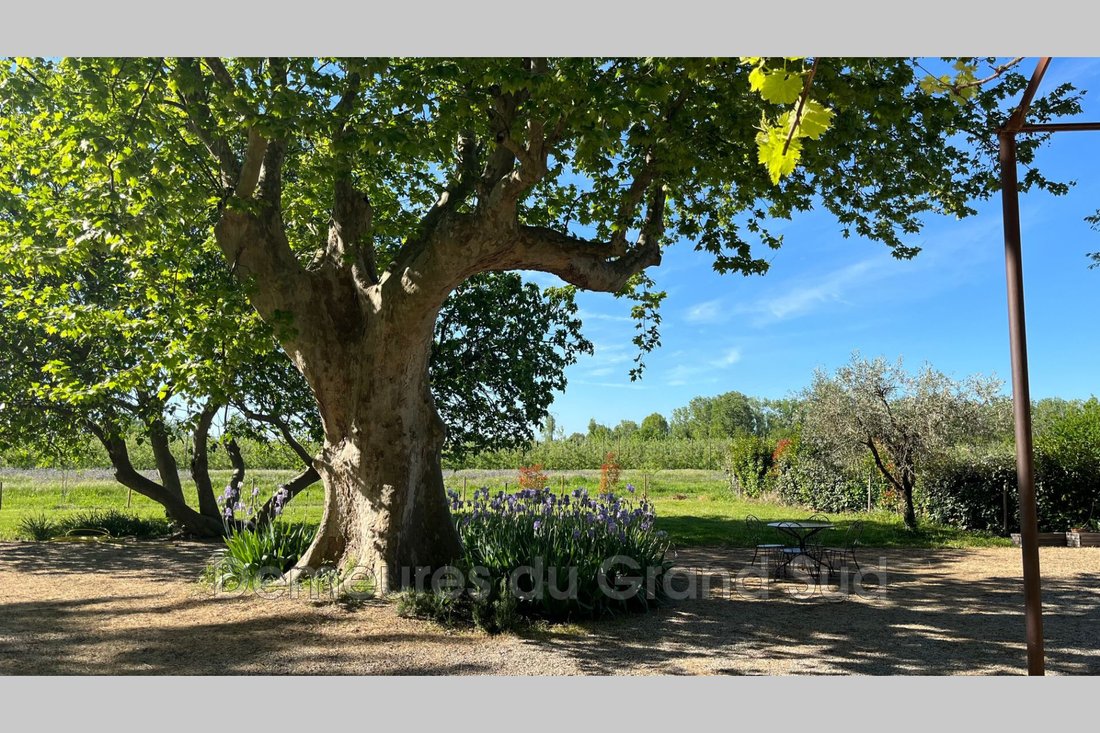 Villa in Orange, Provence-Alpes-Côte d'Azur, Frankreich 5 - 15664461