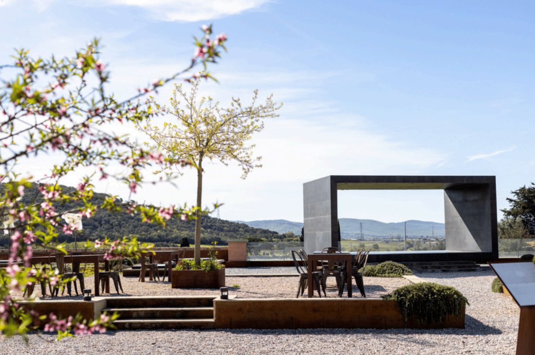 Farm Ranch in Suvereto, Tuscany, Italy 3 - 15665307