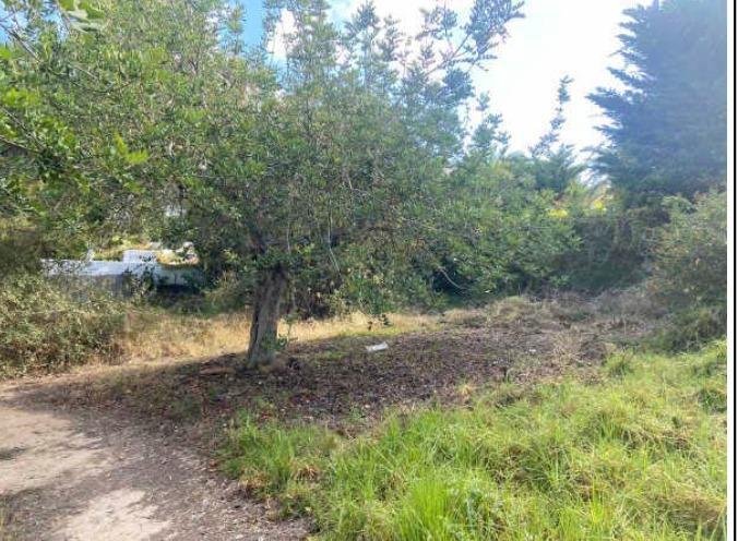 Terreno a Ibiza, Isole Baleari, Spagna 2 - 15664772