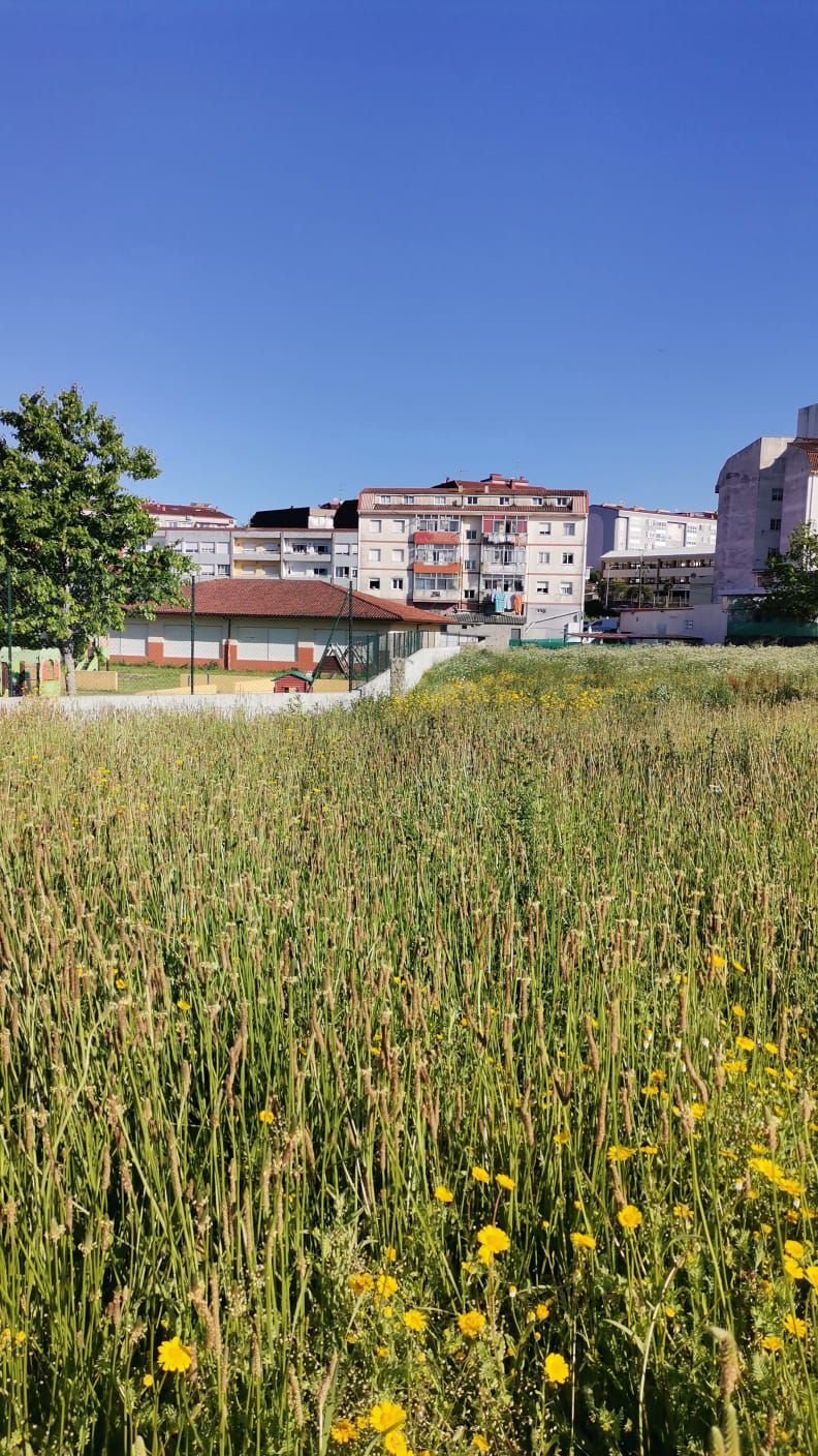 Land in Ponteareas, Galicia, Spain 2 - 15665596
