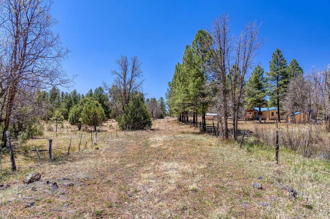 Land in Pinetop-Lakeside, Arizona, United States 3 - 15668423