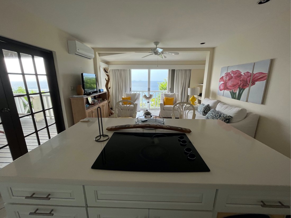 House in Tortola, Virgin Islands, British 5 - 15668755