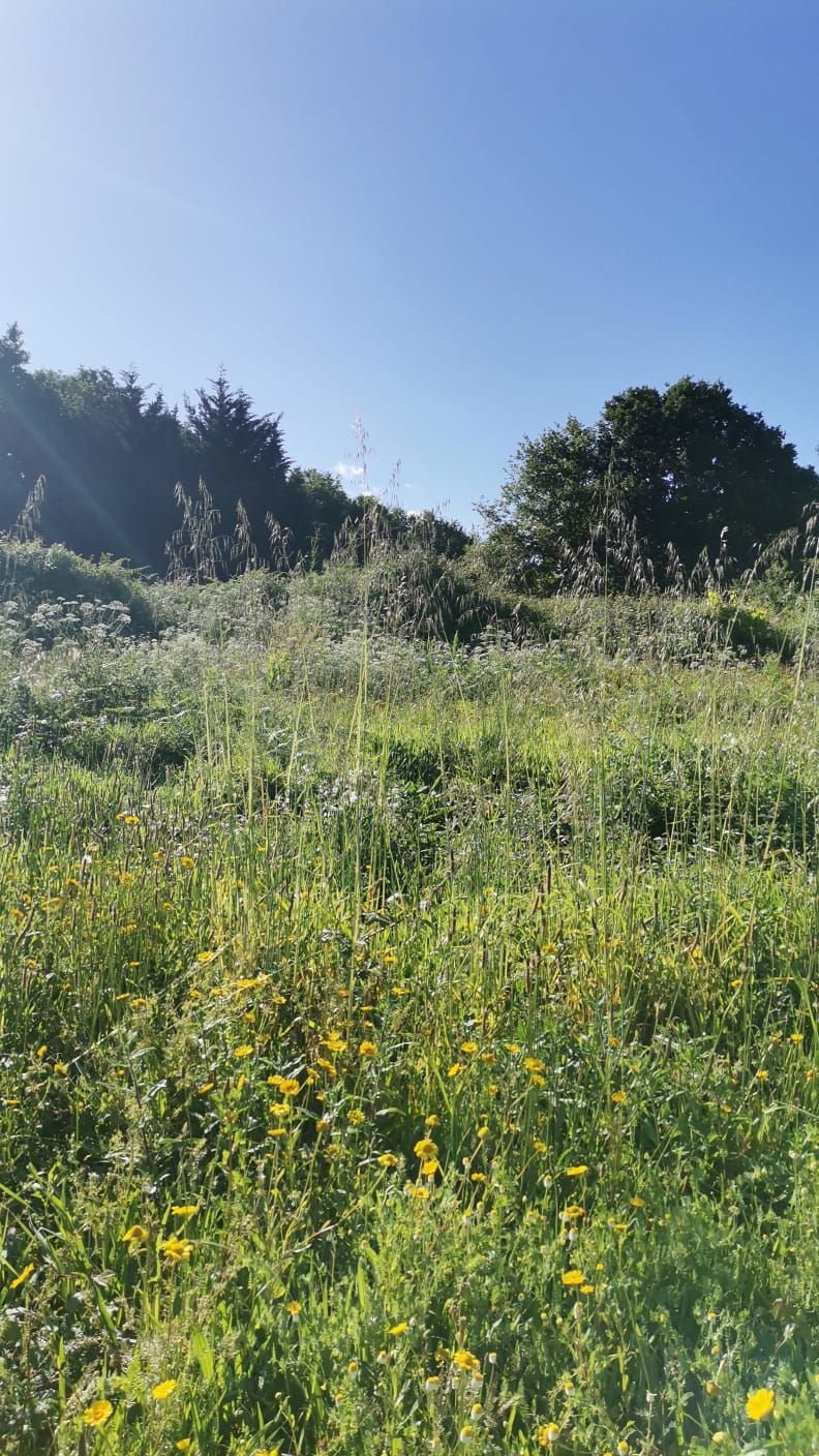 Land in Ponteareas, Galicia, Spain 5 - 15665596