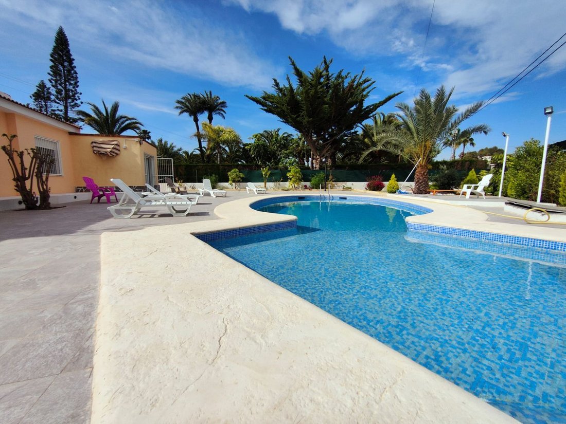 Chalet in Elx / Elche, Valencian Community, Spain 5 - 15665366